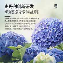 史丹利绣球花调蓝剂硫酸铝花肥料上色变蓝无尽夏水溶肥调色剂花肥