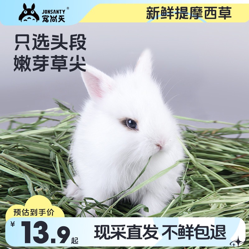 宠尚天2025提摩西草荷兰猪饲料龙猫兔粮干草兔子牧草豚鼠用品1LB