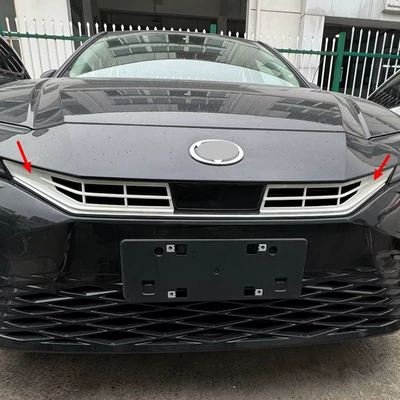 Exterior Modification Suitable for Toyota Şüşə kənarı xromları/moldingləri - piano-black-upper-insect-net-2l