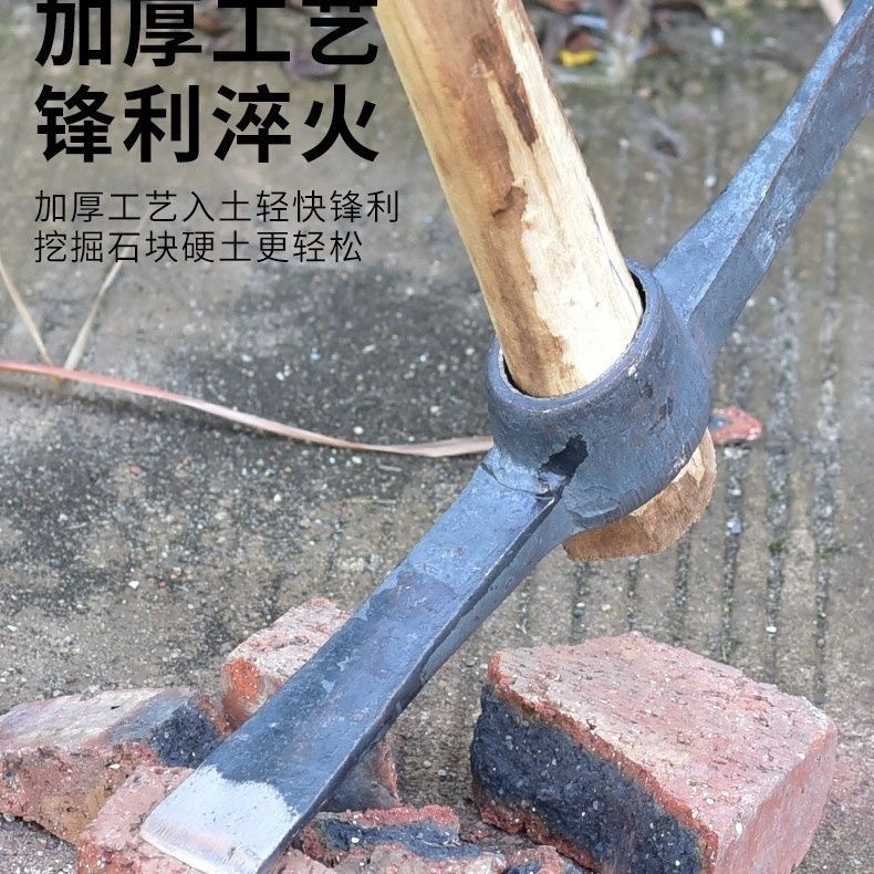 微信图片_202401060111552