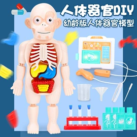 其他益智玩具;棋牌/桌游;戏水玩具