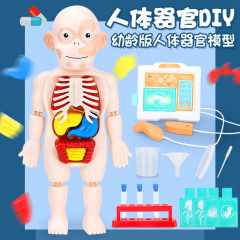 Children's Science Education Human Body Organ Model DIY Assembly Toy with Lighting and Sound Effects Early Education Recognition Model Toy