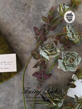 ����С������ �������L�ĵ��»��L ɭ�k���Ļ�����ֲ�����@ˇ