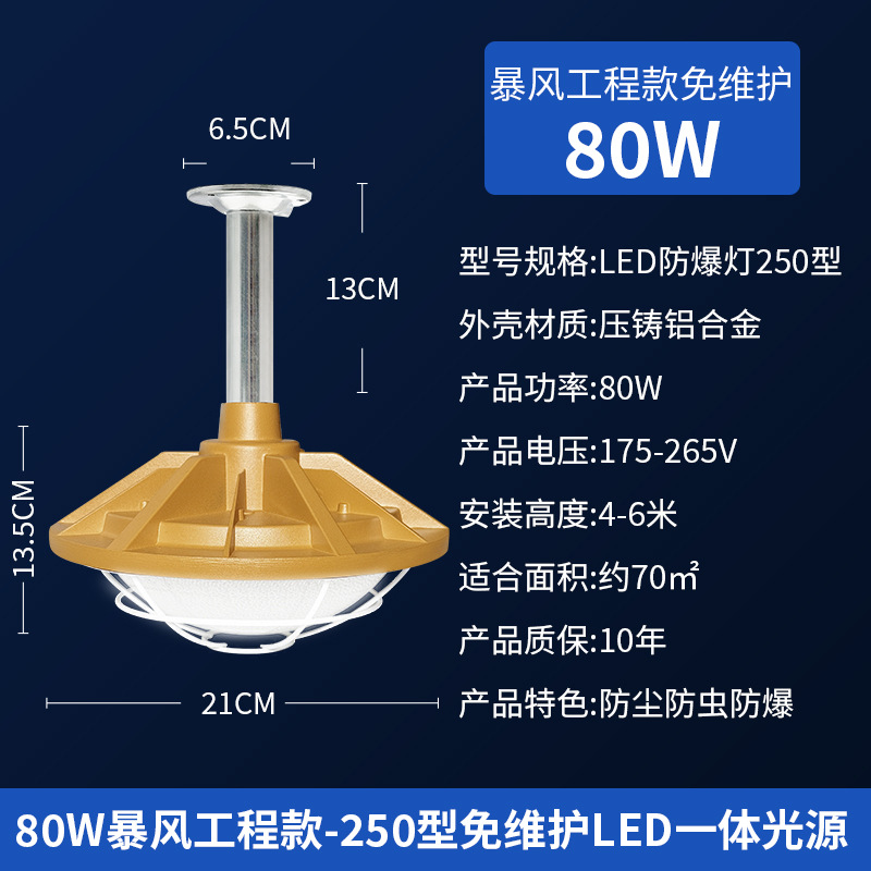 유지보수가 필요 없는 80W 다이캐스트 폭풍 엔지니어링 모델 [노란색]