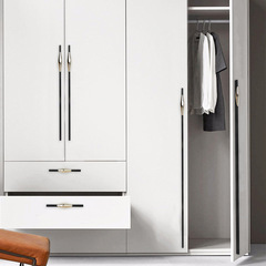 Aluminum alloy lightweight luxury extended by one meter wardrobe handle, Nordic minimalist cabinet drawer furniture black gold small handle
