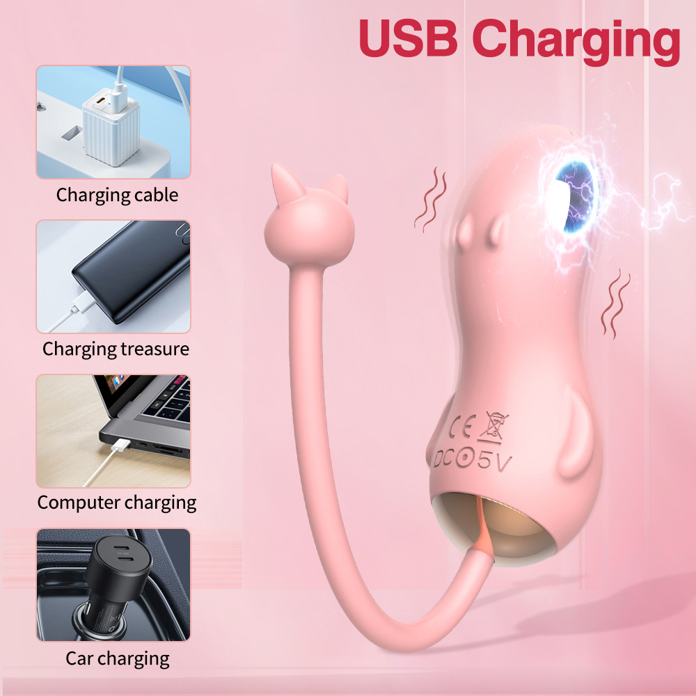 Wireless Remote Control Vibrator For Women With Shock Functions_voghion.com