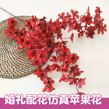 ��c��Y����û������O�����������߹��Sֱ�I�����b��Ҿ��b��