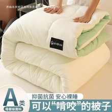 春秋被空调被被子冬被新款保暖四季儿童冬季单人加厚棉被芯用2025