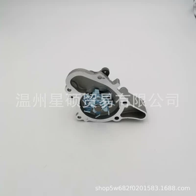 Water pump Kia Atos Getz