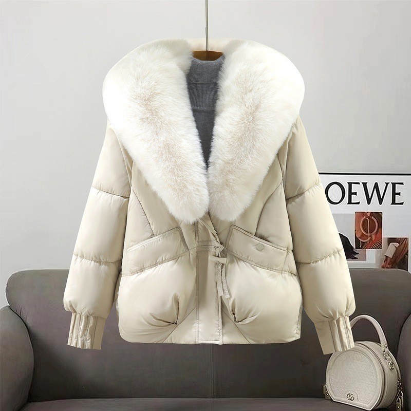 Invierno nuevo tipo desmontable de cuello grande abrigo de algodón de pluma mujer corto estilo coreano abrigo de algodón suelto abrigo de alta calidad image 2