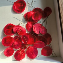 �q�����Ʒ�qƬ����tɫϵ�Q�z�������q���A���DIY����q�l