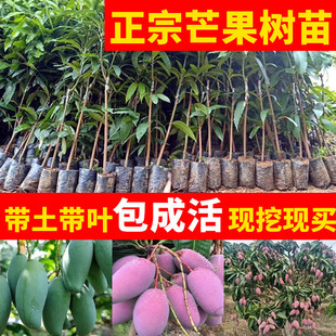 â������޽��ش���F��â�ļ�â���â������䰫���Ϸ�����Y��