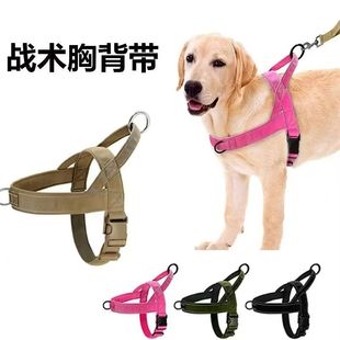 ���R�d�����_���g�ر���������������Ȯ�Ȧ����ʽ��ë�޹�����