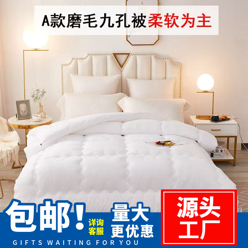 2024 New Feather Velvet Brushed Quilt for Spring and Autumn, Hotel and Guesthouse Quilt Core, Removable and Machine Washable, Same Style, Soft