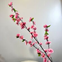 ������һ�֦���һ��҃ȼٻ�֦��c�b�����ֲ�����⻨�@���쾰