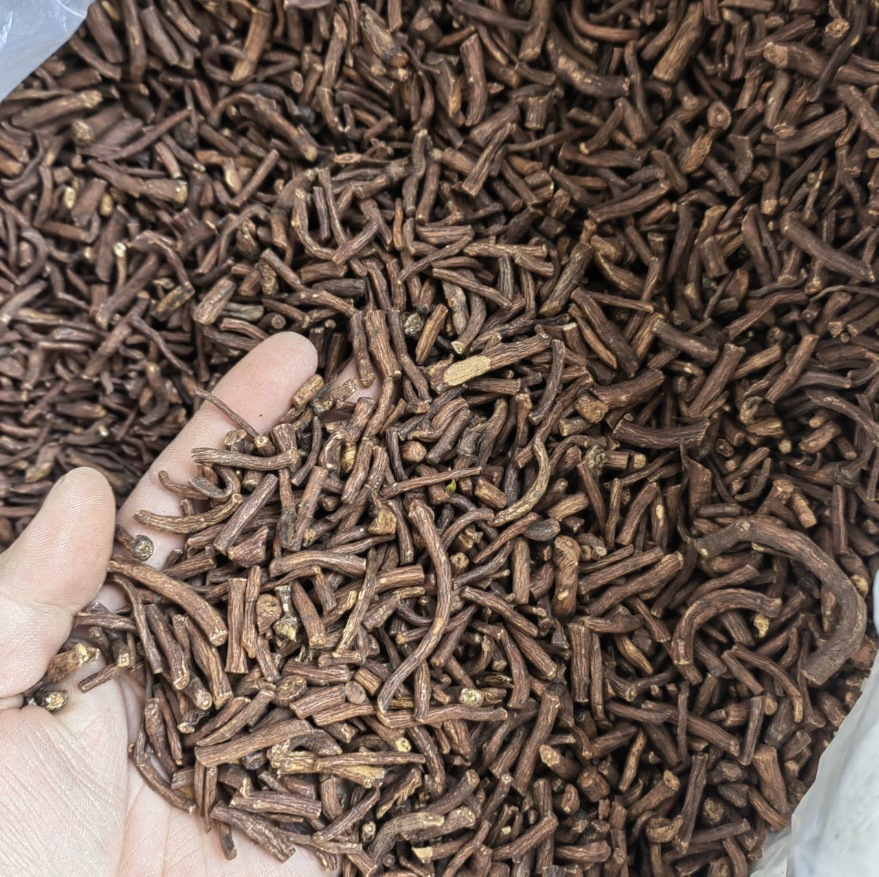 【Wholesale】Dandelion root Changbaishan dandelion tea New goods dandelion root dandelion root Various herbal teas