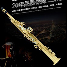 ���ض���������˹��B��С���VSS-S20ֱ��VSS-S10��������˹