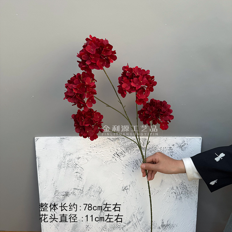 5 đầu hoa cẩm tú cầu đỏ