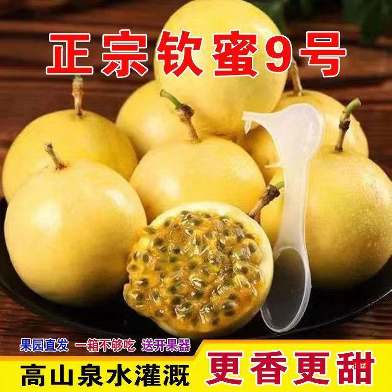 海南钦蜜号百香果当季大果新鲜甜百香果孕妇鸡蛋果斤包邮
