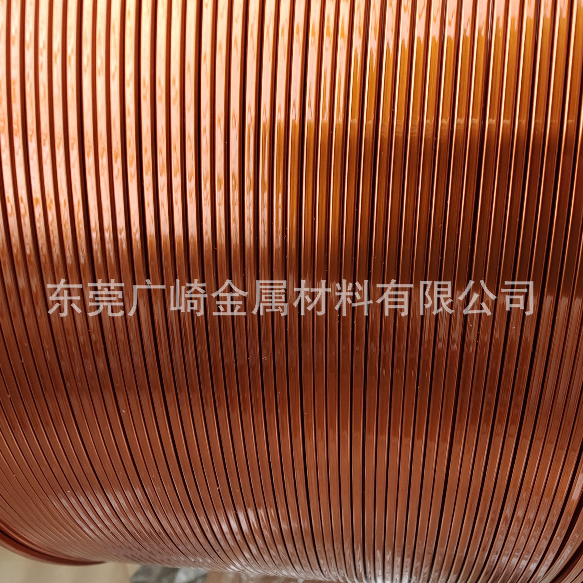 QQ图片20240127204852