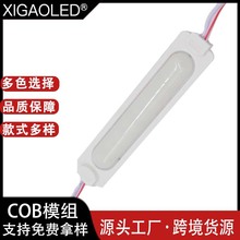 跨境热销COB模组灯珠版广告发光字单色注塑模组LED灯箱高亮光源