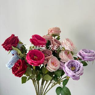 ���滨3�^�W˹͡õ�廨 �껨�Ҿ�ܛ�b�ٻ���Y��c�b��滨�͏d