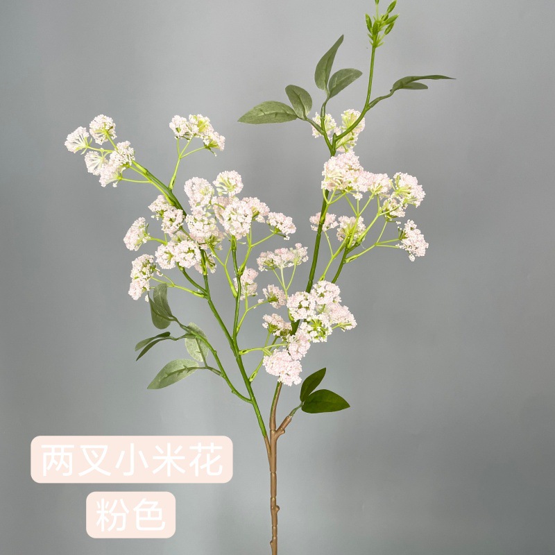 기장꽃