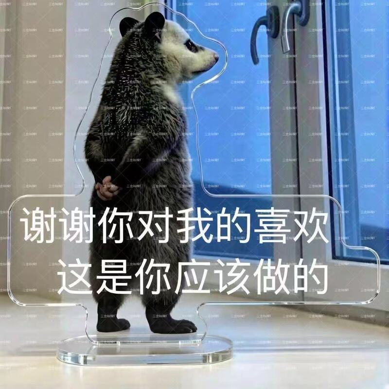 Trendy Cute Possum Expression Acrylic Standee Healing Office Bedroom Desktop Decoration Gift