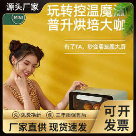 HAIPAI海牌HP-K110/K112小型多功能双层烘焙电烤箱2.7kg广域控温