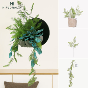 ��������U����L�[�O�����~��ʽ�춬�Ƭ�ɴ�ާ�������bGֲ