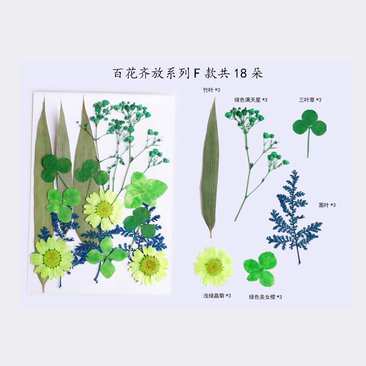 Paquete de material en relieve jardín de infantes en relieve DIY marcador epoxi flor seca caja del teléfono en relieve planta muestra