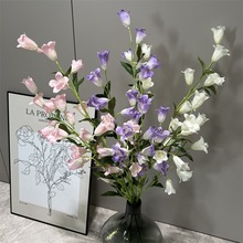 �¿��֦��ط��滨���L⏻� ��K��С�����L⏲���m���_�m����