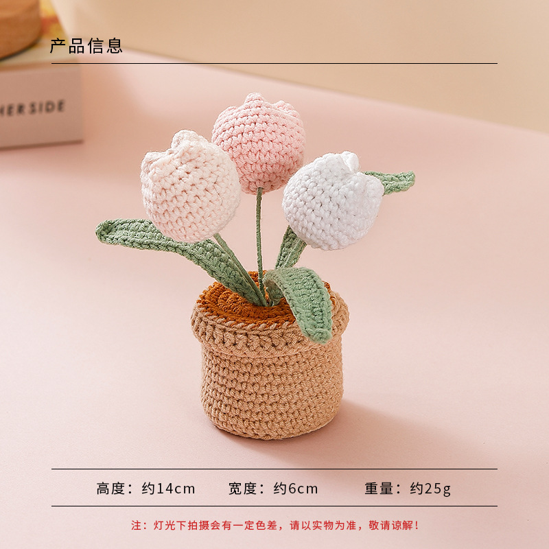 Plantar en maceta de lana - Tulipan de tres cabezas (polvo de gradiente)