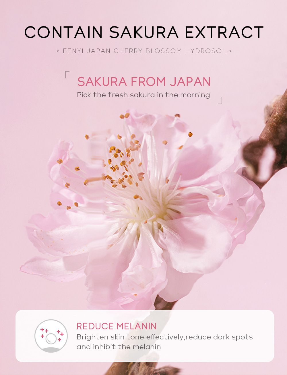 Cross-border Fenyi Japanese Cherry Blossom Hydrosol 100ml Hydrating, Moisturizing and Toning Water Surface Skin Care Product manufacturer undefined