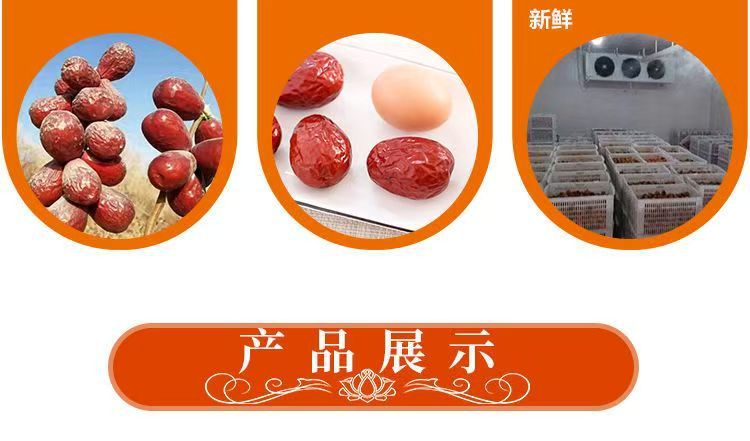 Premium Hetian Jujube Dates 500g Large Sun-Dried Red Dates from Xinjiang key features
