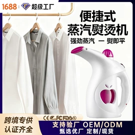 家用吸尘器;电熨斗;挂烫机