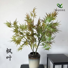 ��ֻ�쾰�Gֲ������~��ɫϵ�����~�҃�������Է���ֲ��[���b�