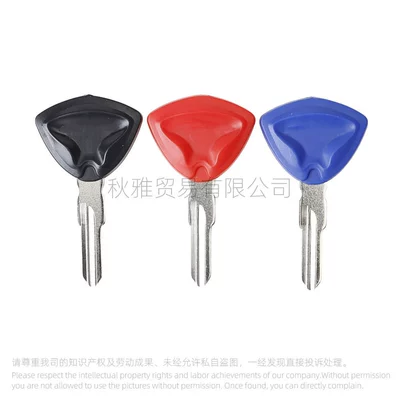1030 Key Embryo/Handle Can – Motorcycle Key