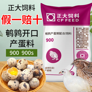�����J���u��Ϯa���Z�µ�900s�������r�R���u�_���������g�����