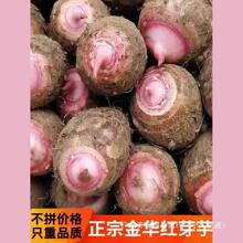 �㽭���A�F�ڼtѿ���^���r�r��ܛŴС���^���r�aƷ�t����ܵ5/3��