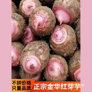 �㽭���A�F�ڼtѿ���^���r�r��ܛŴС���^���r�aƷ�t����ܵ5/3��