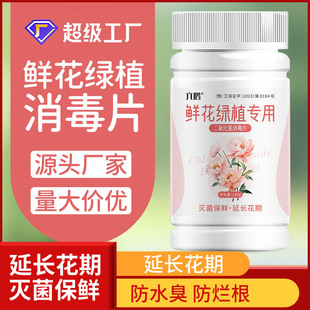 Liuhe Flowers Chlorine Dioxide Effervescent Tablets 100g Flowers Fresh-keeping Cut Flowers Awakening Flowers Extend Florescence Disinfectant Tablets Wholesale