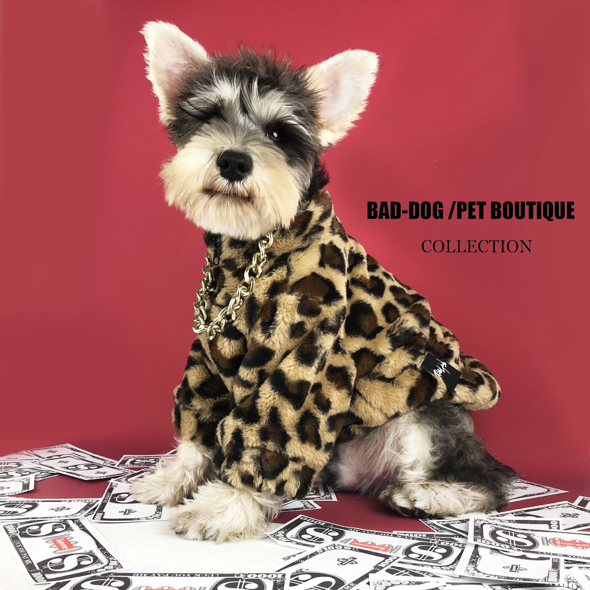Dog Coat Image 2