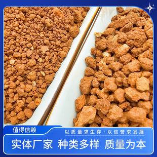 �t���w���S�ҾW�����Ӟ�����B������������m���Nֲ�õV��