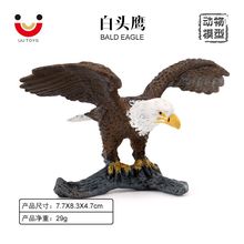 ����Ұ���B����w��ģ�Ͱ��^�������޵���^����ͯ�J֪��ߔ[��