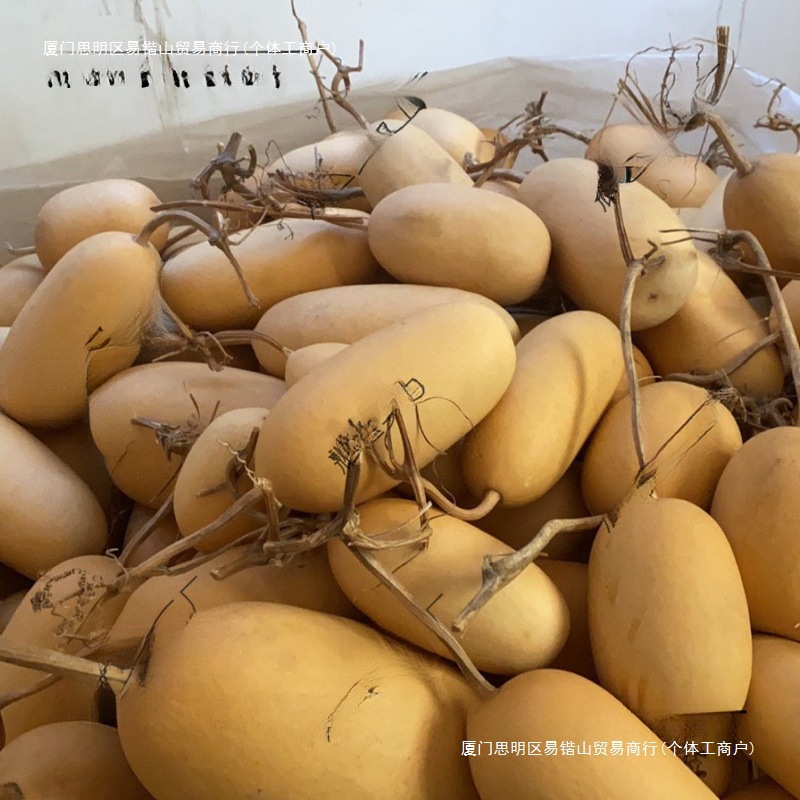 现有大批低价野生冬瓜粗腰胖葫芦适合烙画彩绘刻做手工礼品装饰
