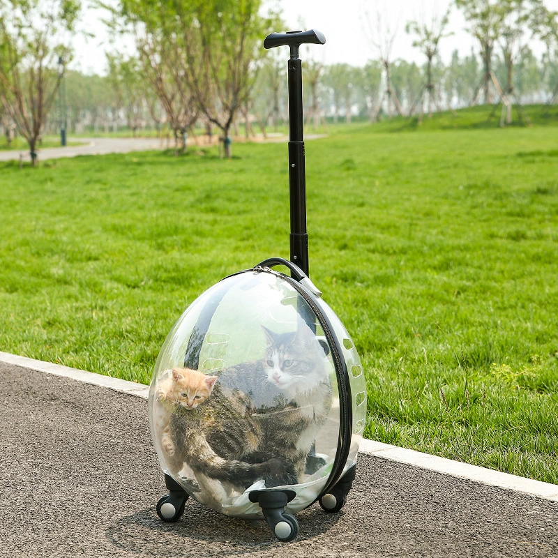Capacious suitcase to go out, space handheld cart, pet