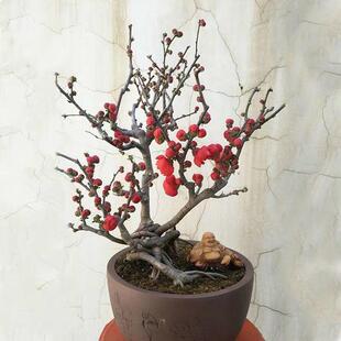 �����_�����Ļ����Ժ��Ę����ɫ�ļ������辰�҃��⻨�ܾGֲ�W�t