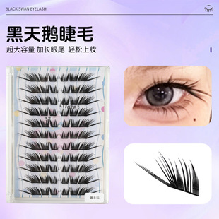 ����냺�����۽�ë�����Z����б�w��ܛ��β���L���z�������ٽ�ë