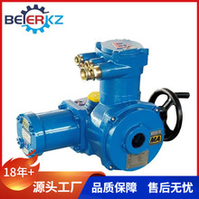 ؐVøyT늄bZB45-24_PaS